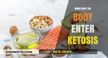 Understanding Ketosis: When Does Your Body Start Burning Fat?