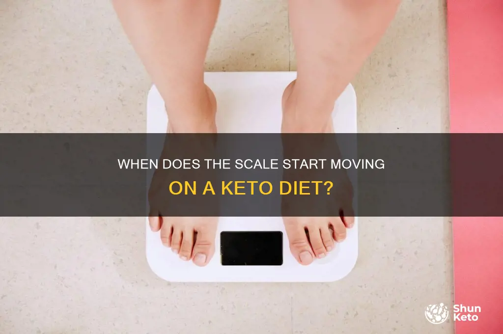 when does the scale start to move on keto diet