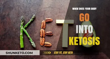 When Does Ketosis Begin? Understanding Your Body's Transition to Fat-Burning Mode