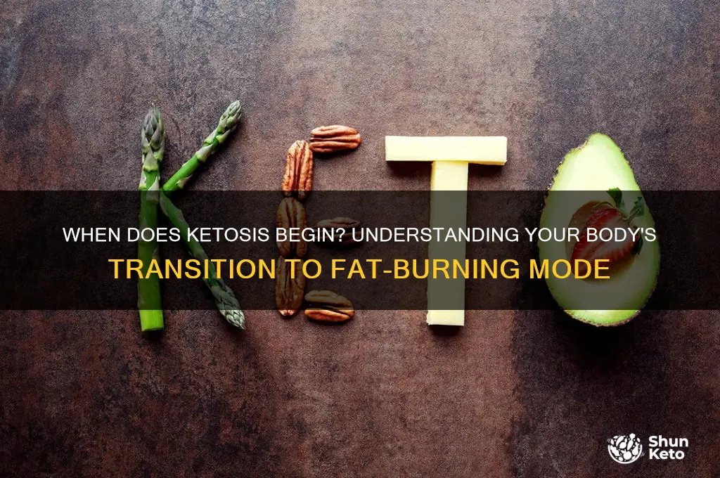 when does your body go into ketosis