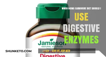 Carnivore Diet: Do Digestive Enzymes Help?