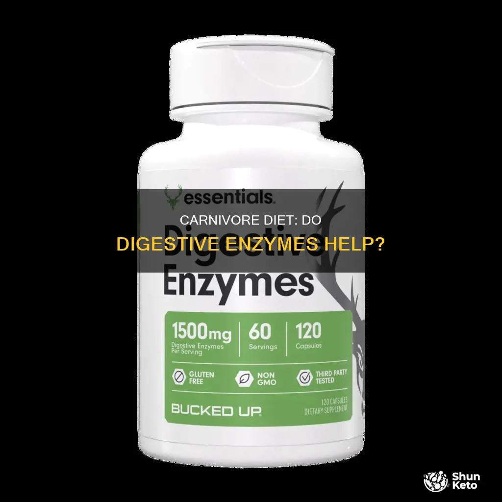 when doing carnivore diet should i use digestive enzymes