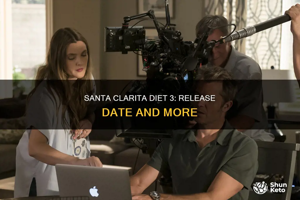 when is santa clarita diet 3 coming out