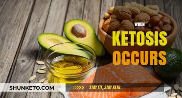 Understanding Ketosis: When and How Your Body Enters Fat-Burning Mode