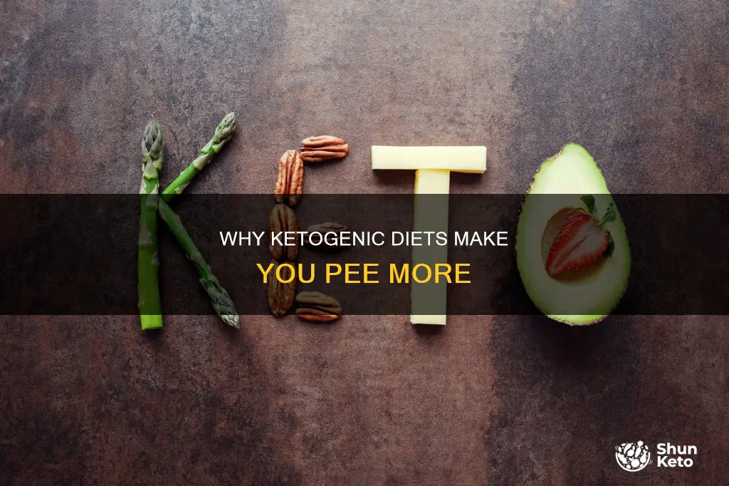 when on a ketogenic diet i pee a lot