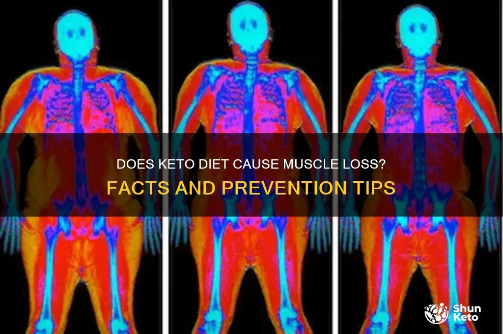 when on keto diet do you lose muscle mass