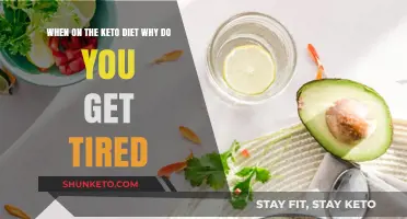 Keto Fatigue Explained: Why You Feel Tired on a Low-Carb Diet