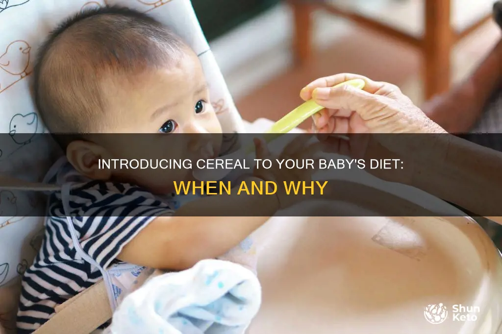 when ro add cereal to newborn diet
