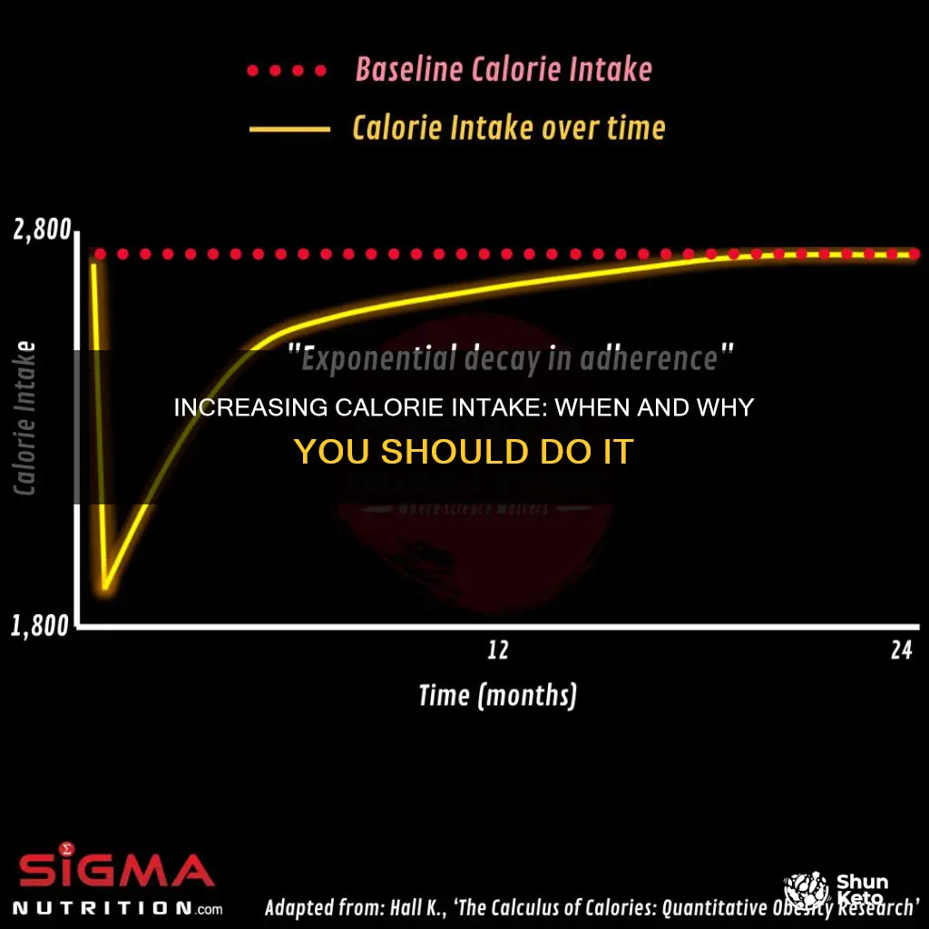 when should i up my calorie intakr on diet
