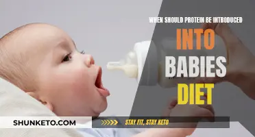 Introducing Protein: When Should Babies Start?