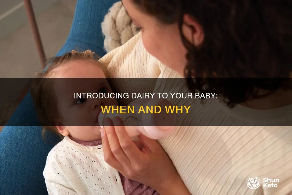 when should you add dairy to baby diet