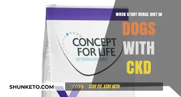 Renal Diet for Dogs: When to Start CKD Treatment