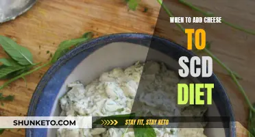 SCD Diet: When to Introduce Cheese