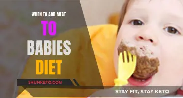 Introducing Meat to Your Baby's Diet: The Right Time