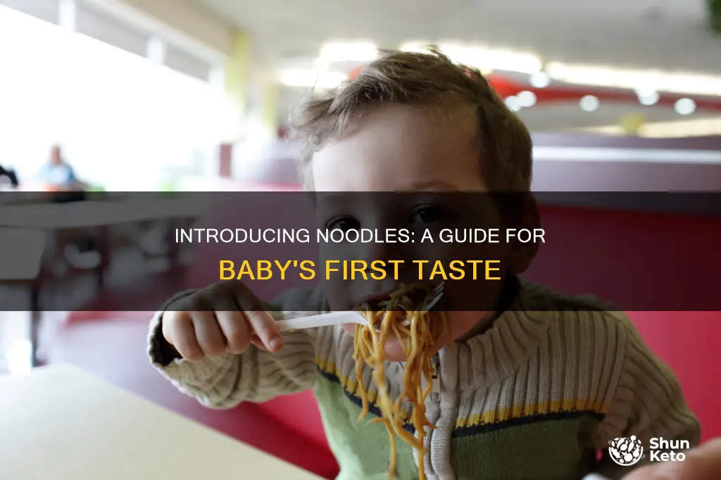 when to add noodle to baby diet