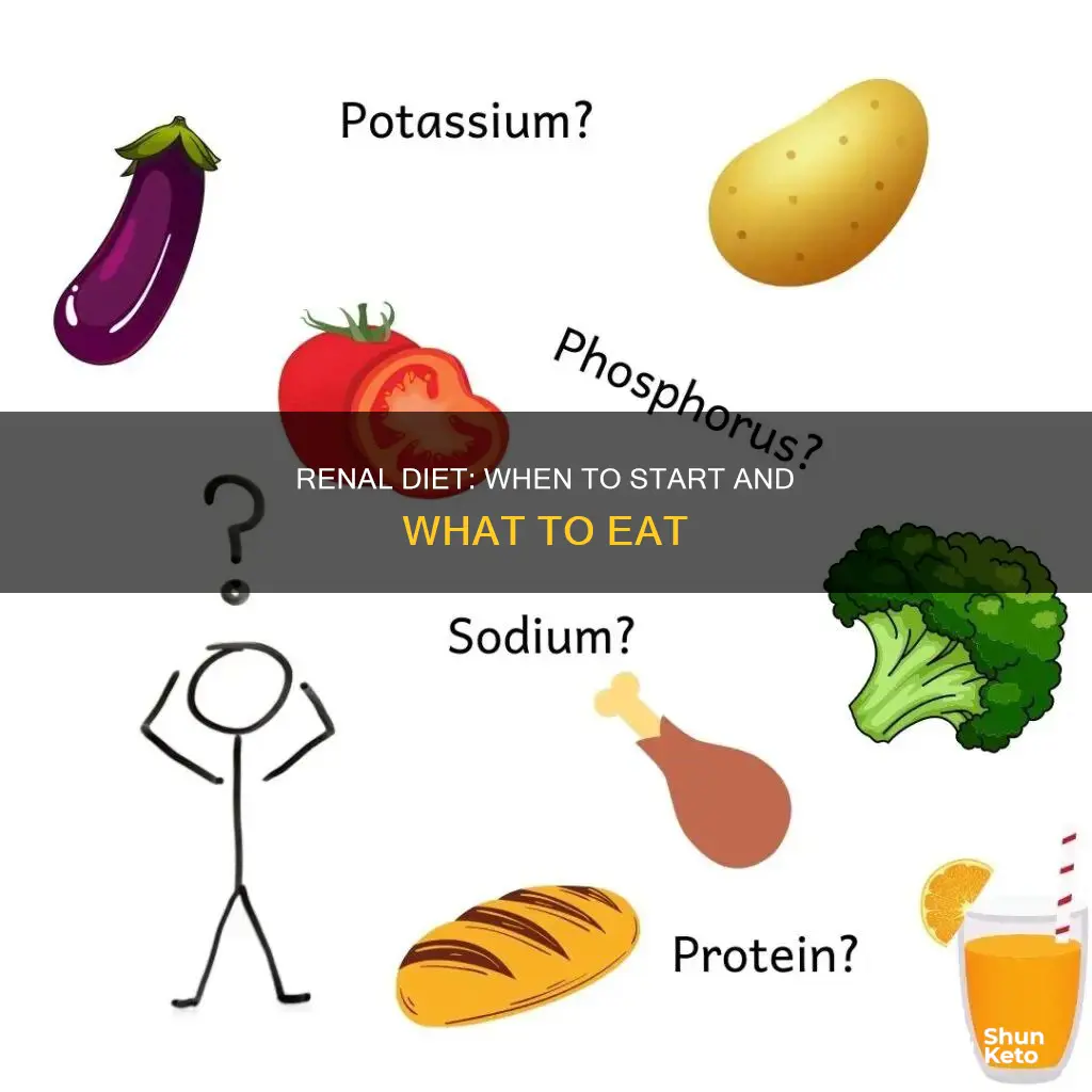 when to go on a renal diet