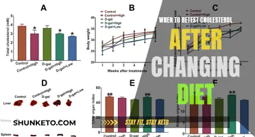 Cholesterol Retest: How Soon After a Diet Change?
