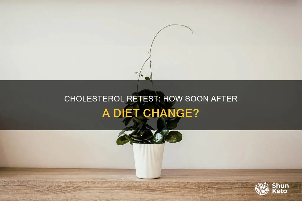when to retest cholesterol after changing diet
