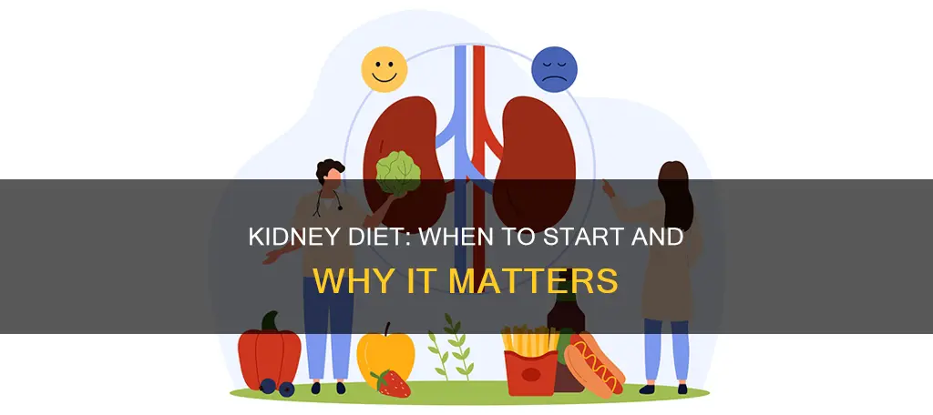 when to start a kidney diet
