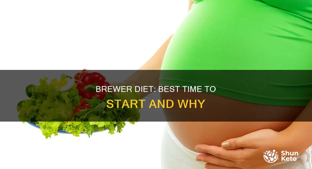 when to start brewer diet