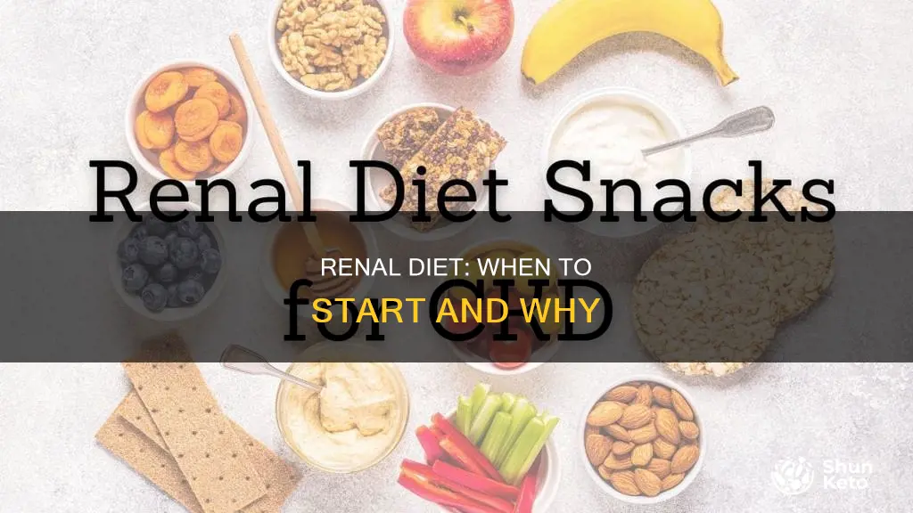 when to start chronic renal failure diet