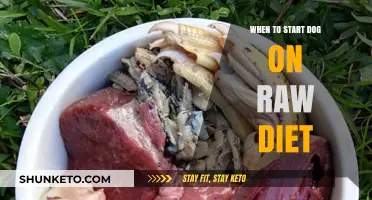 Introducing Raw Food: Best Age for Dogs to Start
