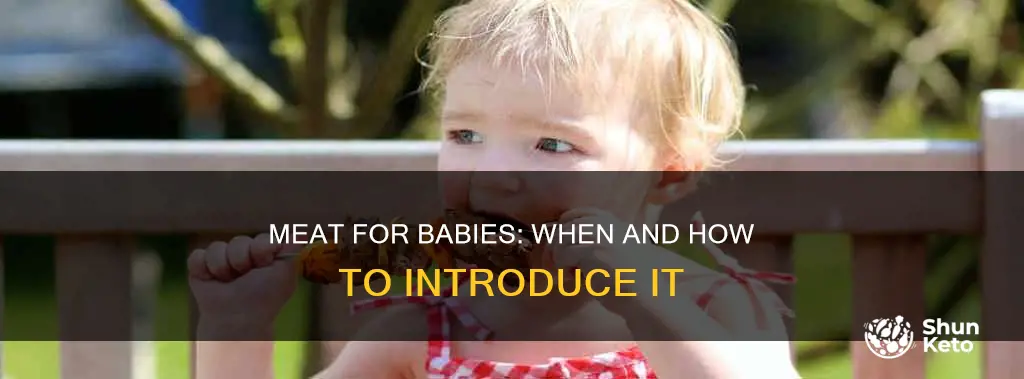 when to start incorporating meat into baby