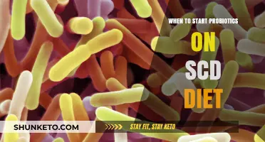 Probiotics and SCD Diet: When to Start?