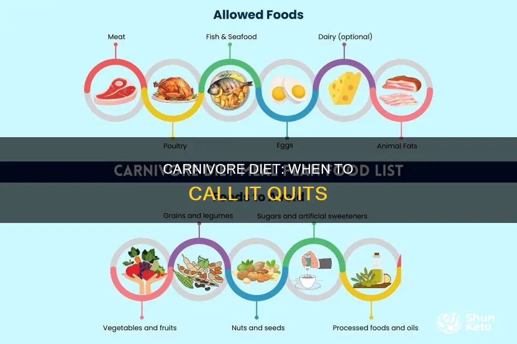 when to stop carnivore diet