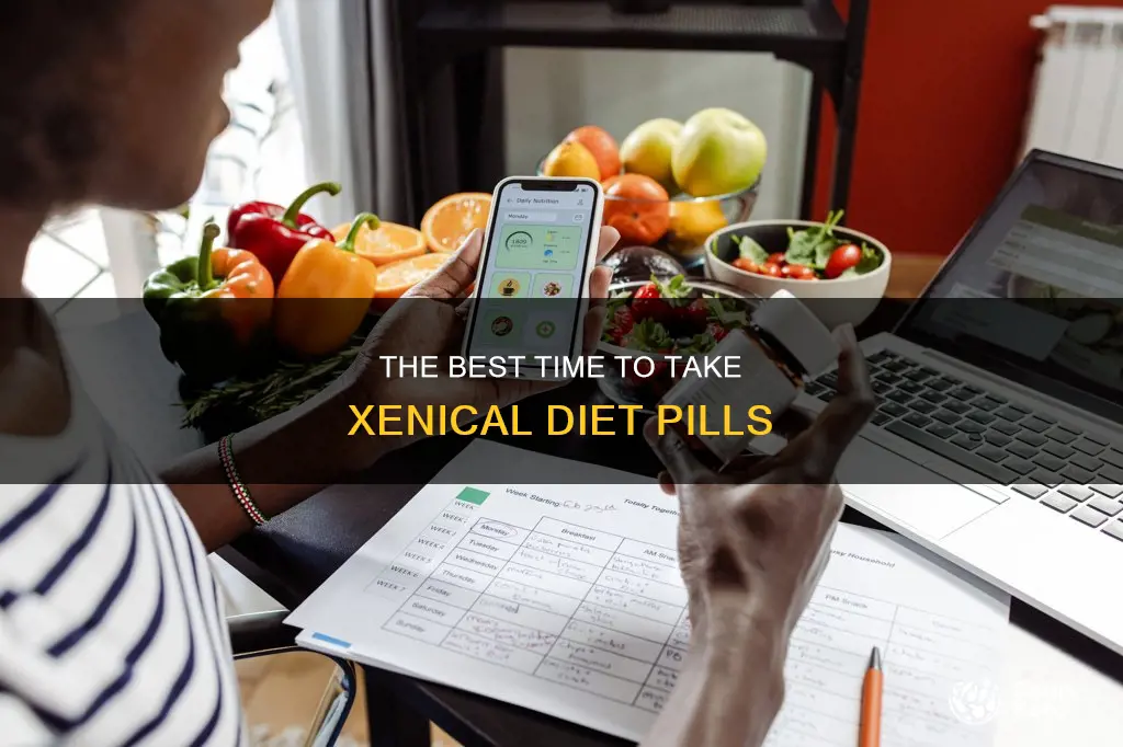 when to take xenical diet pill