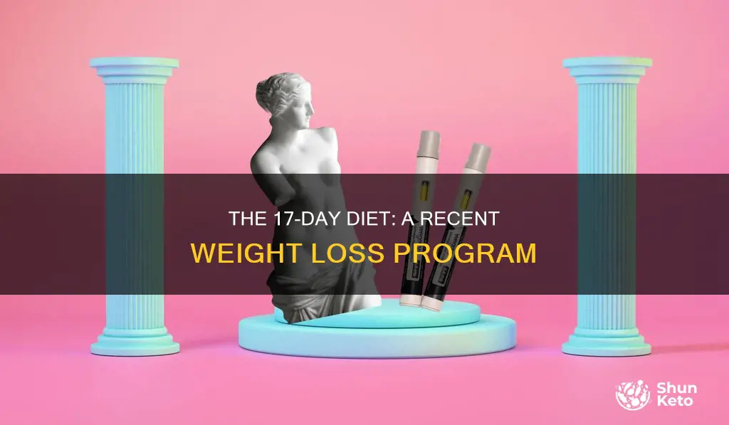 when was created 17 day diet