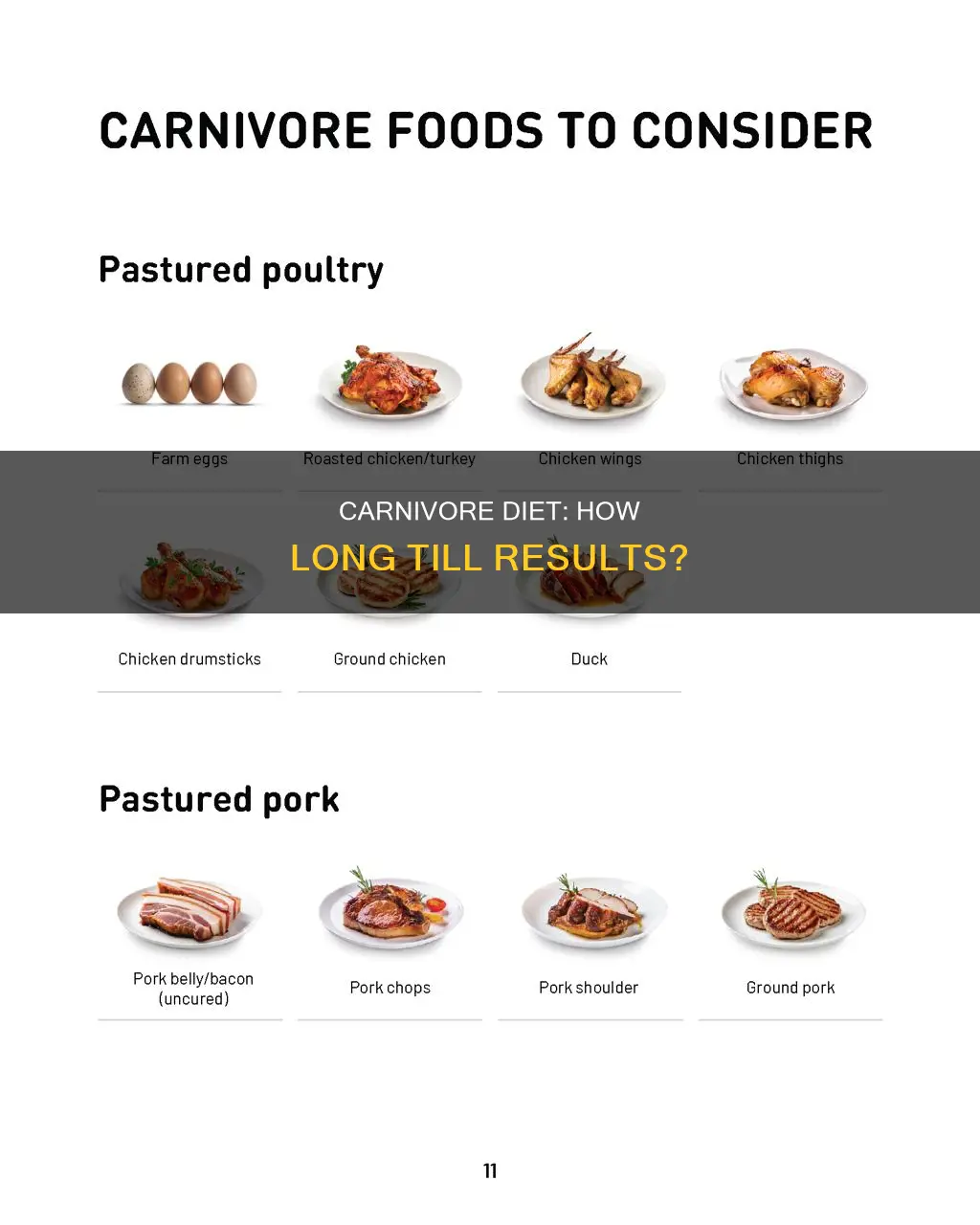 when will i see results from carnivore diet