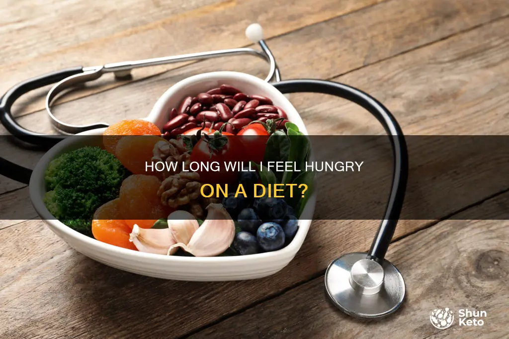when will i stop being hungry on diet
