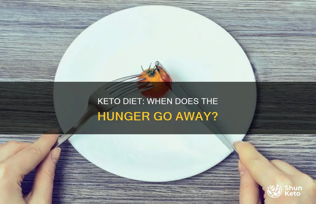 when will I stop feeling hungry on keto