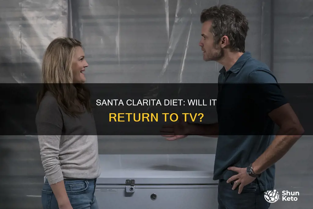 when will santa clarita diet return to tv