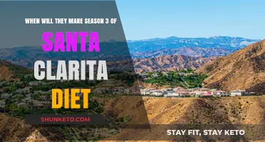 Will There Be a Season 3 of Santa Clarita Diet?