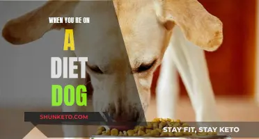 Staying Strong: Dieting with a Dog