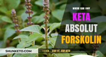Where to Buy Keta Absolut Forskolin: Top Retailers and Online Stores