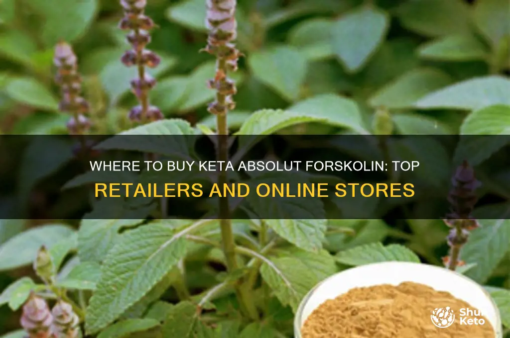 where can i buy keta absolut forskolin