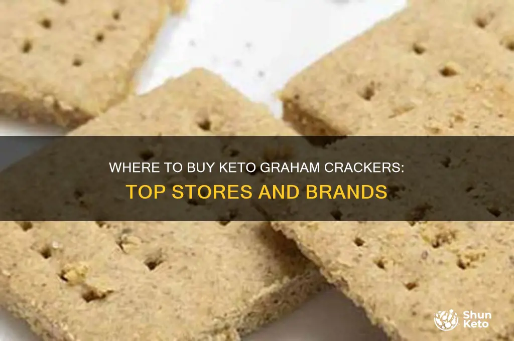 where can i buy keto graham crackers