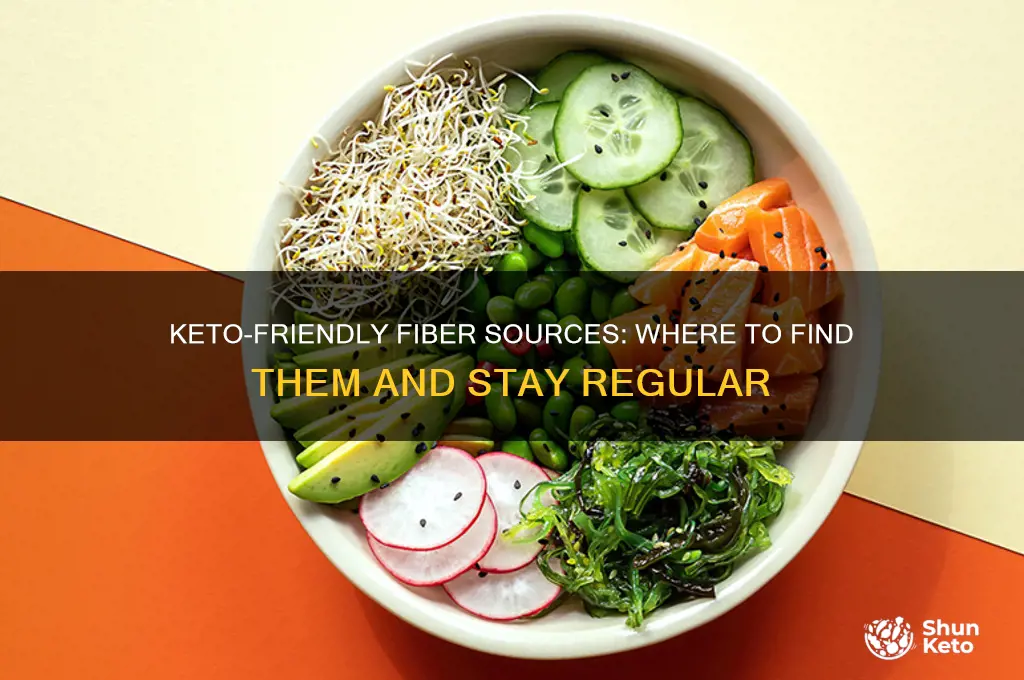 where can i get my fiber during keto diet