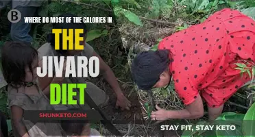 Jivaro Diet: Unlocking the Secrets of Calorie-Dense Superfoods