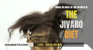 The Jivaro Diet: Calories and Their Sources