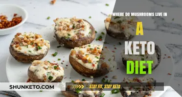 Mushrooms in Keto: Where They Fit in Your Low-Carb Lifestyle