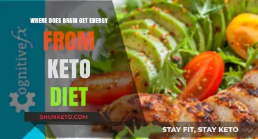 How the Brain Thrives on Ketones: Energy from a Keto Diet