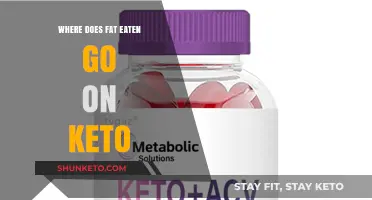 Where Does Fat Go on Keto? Unraveling the Body's Fat Journey