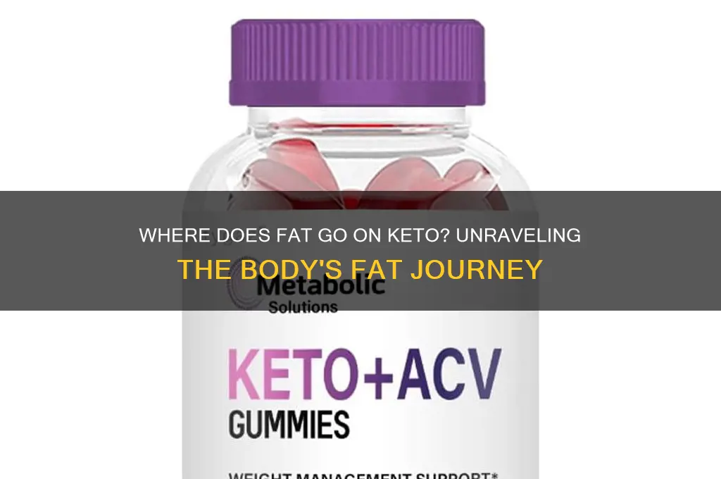 where does fat eaten go on keto