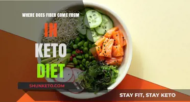 Uncovering Keto-Friendly Fiber Sources for a Healthy Low-Carb Lifestyle