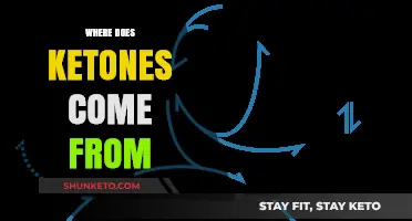 Understanding Ketone Origins: Sources and Production in the Human Body