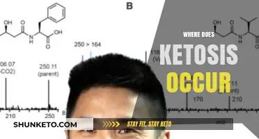 Understanding Ketosis: Where and How This Metabolic Process Occurs